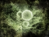Filename=3d-wallpaper-1-001.jpg
Filesize=173KB
Dimensions=1024x768
Date added=May 27, 2007 3d-wallpaper-1-001.jpg