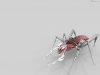 3d-wallpaper-1-003.jpg