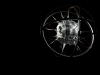 3d-wallpaper-1-016.jpg