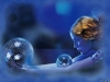 Filename=3d-wallpaper-1-658.jpg
Filesize=71KB
Dimensions=1024x768
Date added=May 27, 2007 3d-wallpaper-1-658.jpg
