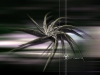 Filename=abstract-wallpaper-1-044.jpg
Filesize=88KB
Dimensions=800x600
Date added=May 27, 2007 abstract-wallpaper-1-044.jpg