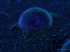 Filename=abstract-wallpaper-1-056.jpg
Filesize=199KB
Dimensions=1152x864
Date added=May 27, 2007 abstract-wallpaper-1-056.jpg