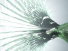 Filename=abstract-wallpaper-1-073.jpg
Filesize=264KB
Dimensions=1280x960
Date added=May 27, 2007 abstract-wallpaper-1-073.jpg