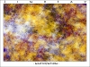 Filename=abstract-wallpaper-2-005.jpg
Filesize=839KB
Dimensions=800x600
Date added=May 27, 2007 abstract-wallpaper-2-005.jpg