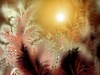 Filename=abstract-wallpaper-3-027.jpg
Filesize=97KB
Dimensions=1024x768
Date added=May 27, 2007 abstract-wallpaper-3-027.jpg