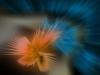 abstract-wallpaper-3-097.jpg