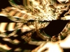 Filename=abstract-wallpaper-3-656.jpg
Filesize=111KB
Dimensions=1024x768
Date added=May 27, 2007 abstract-wallpaper-3-656.jpg