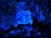 Filename=abstract-wallpaper-3-657.jpg
Filesize=266KB
Dimensions=1600x1200
Date added=May 27, 2007 abstract-wallpaper-3-657.jpg