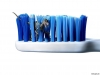 Filename=animal-wallpaper-022.jpg
Filesize=76KB
Dimensions=1024x768
Date added=May 27, 2007 animal-wallpaper-022.jpg