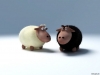 Filename=animal-wallpaper-025.jpg
Filesize=40KB
Dimensions=1024x768
Date added=May 27, 2007 animal-wallpaper-025.jpg