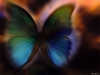 Filename=animal-wallpaper-028.jpg
Filesize=62KB
Dimensions=1024x768
Date added=May 27, 2007 animal-wallpaper-028.jpg