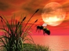 Filename=animal-wallpaper-032.jpg
Filesize=134KB
Dimensions=1024x768
Date added=May 27, 2007 animal-wallpaper-032.jpg