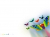 Filename=animal-wallpaper-046.jpg
Filesize=39KB
Dimensions=1024x768
Date added=May 27, 2007 animal-wallpaper-046.jpg