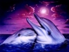Filename=animal-wallpaper-161.jpg
Filesize=98KB
Dimensions=1024x768
Date added=May 27, 2007 animal-wallpaper-161.jpg