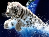 Filename=animal-wallpaper-275.jpg
Filesize=762KB
Dimensions=1024x768
Date added=May 27, 2007 animal-wallpaper-275.jpg