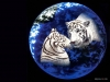 Filename=animal-wallpaper-277.jpg
Filesize=490KB
Dimensions=1024x768
Date added=May 27, 2007 animal-wallpaper-277.jpg