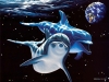 Filename=animal-wallpaper-278.jpg
Filesize=443KB
Dimensions=1024x768
Date added=May 27, 2007 animal-wallpaper-278.jpg
