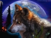 Filename=animal-wallpaper-282.jpg
Filesize=175KB
Dimensions=1024x768
Date added=May 27, 2007 animal-wallpaper-282.jpg