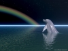 animal-wallpaper-287.jpg