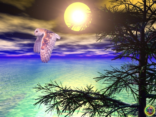 Click to view full size image