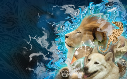 Click to view full size image