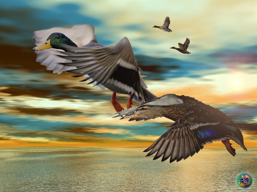 Click to view full size image