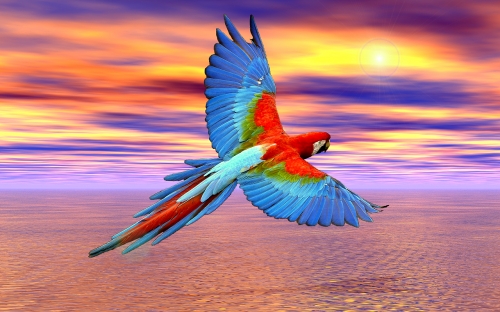 Click to view full size image