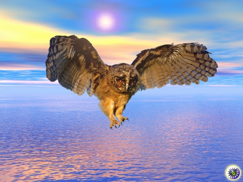 Click to view full size image