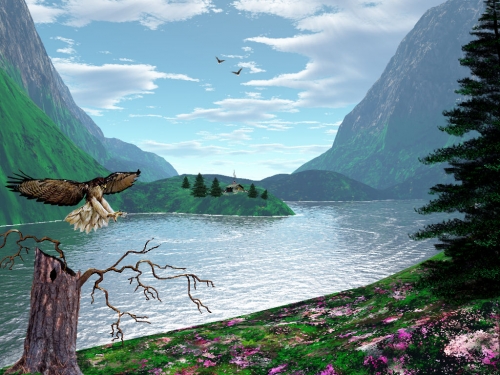 Click to view full size image