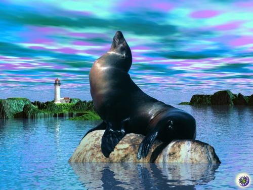 Click to view full size image