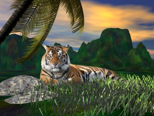 Click to view full size image