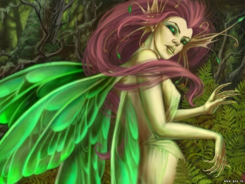 Click to view full size image