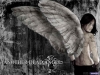 Filename=cool-wallpaper-1-068.jpg
Filesize=174KB
Dimensions=1024x768
Date added=May 27, 2007 cool-wallpaper-1-068.jpg