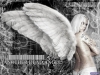 Filename=cool-wallpaper-1-069.jpg
Filesize=175KB
Dimensions=1024x768
Date added=May 27, 2007 cool-wallpaper-1-069.jpg
