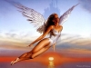 Filename=desktop-wallpaper-013.jpg
Filesize=83KB
Dimensions=1024x768
Date added=May 27, 2007 desktop-wallpaper-013.jpg