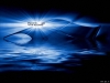 Filename=desktop-wallpaper-055.jpg
Filesize=56KB
Dimensions=1024x768
Date added=May 27, 2007 desktop-wallpaper-055.jpg