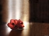 Filename=desktop-wallpaper-096.jpg
Filesize=74KB
Dimensions=1024x768
Date added=May 27, 2007 desktop-wallpaper-096.jpg