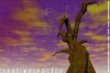 Filename=desktop-wallpaper-711.jpg
Filesize=145KB
Dimensions=1296x873
Date added=May 27, 2007 desktop-wallpaper-711.jpg