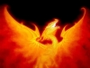 Filename=dragon-wallpaper-094.jpg
Filesize=71KB
Dimensions=1024x768
Date added=May 27, 2007 dragon-wallpaper-094.jpg