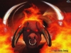 Filename=fantasy-wallpaper-2-008.jpg
Filesize=176KB
Dimensions=1024x768
Date added=May 27, 2007 fantasy-wallpaper-2-008.jpg