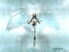 Filename=fantasy-wallpaper-2-589.jpg
Filesize=55KB
Dimensions=1024x768
Date added=May 27, 2007 fantasy-wallpaper-2-589.jpg