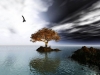 Filename=fantasy-wallpaper-3-023.jpg
Filesize=128KB
Dimensions=1024x768
Date added=May 27, 2007 fantasy-wallpaper-3-023.jpg