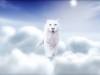 Filename=fantasy-wallpaper-3-353.jpg
Filesize=55KB
Dimensions=1024x768
Date added=May 27, 2007 fantasy-wallpaper-3-353.jpg