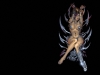 Filename=fantasy-wallpaper-3-363.jpg
Filesize=62KB
Dimensions=1024x768
Date added=May 27, 2007 fantasy-wallpaper-3-363.jpg