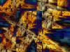 Filename=fractal-wallpaper-2-008.jpg
Filesize=835KB
Dimensions=1024x768
Date added=Nov 08, 2007 fractal-wallpaper-2-008.jpg