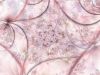 Filename=fractal-wallpaper-2-009.jpg
Filesize=553KB
Dimensions=1024x768
Date added=Nov 08, 2007 fractal-wallpaper-2-009.jpg