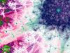 Filename=fractal-wallpaper-2-026.jpg
Filesize=358KB
Dimensions=1024x768
Date added=Nov 08, 2007 fractal-wallpaper-2-026.jpg