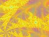 Filename=fractal-wallpaper-2-053.jpg
Filesize=120KB
Dimensions=1280x960
Date added=Nov 08, 2007 fractal-wallpaper-2-053.jpg