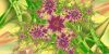 Filename=fractal-wallpaper-2-150.jpg
Filesize=143KB
Dimensions=1024x512
Date added=Nov 08, 2007 fractal-wallpaper-2-150.jpg