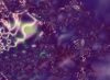 fractal-wallpaper-2-277.jpg